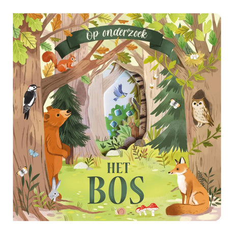 Rebo-Verlage erkunden: den Wald. 2+