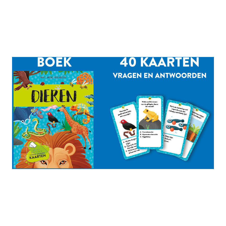 Rebo publishers dieren feiten speelset