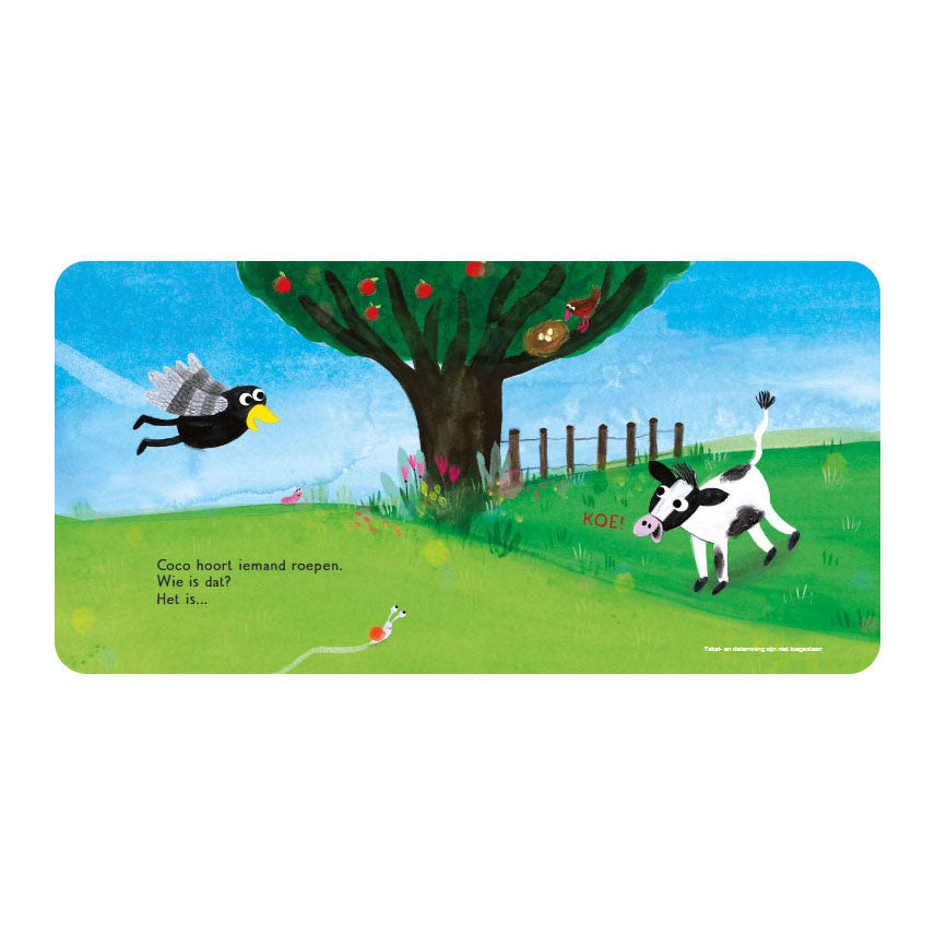 Gottmer Coco auf der Wiese - Klappenbuch
