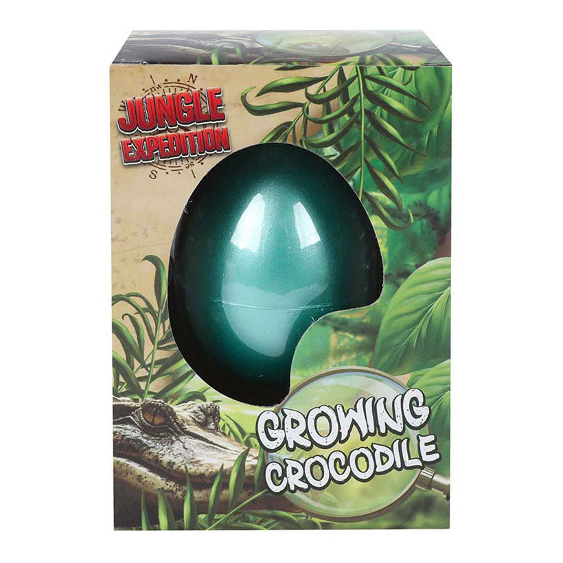 Jungle Expediton Egg med voksende krokodille, 6 cm