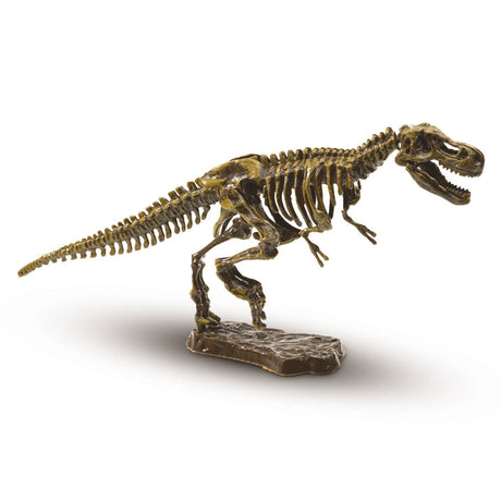 Ses kreative Ses graben T-Rex aus