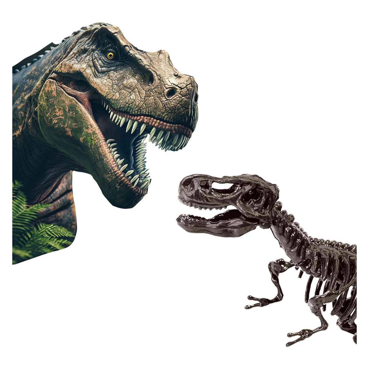 SES erforschen Dino und Skelett 2in1 - t -Rex