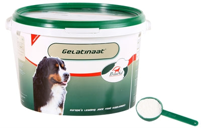 Primeval gelatinat hund