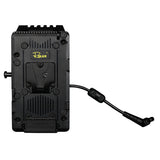 Rolux V-Mount Batterieplatte RL-GDX9 für FX9