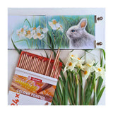 Talens Art Creation Buntstifte-Set 24