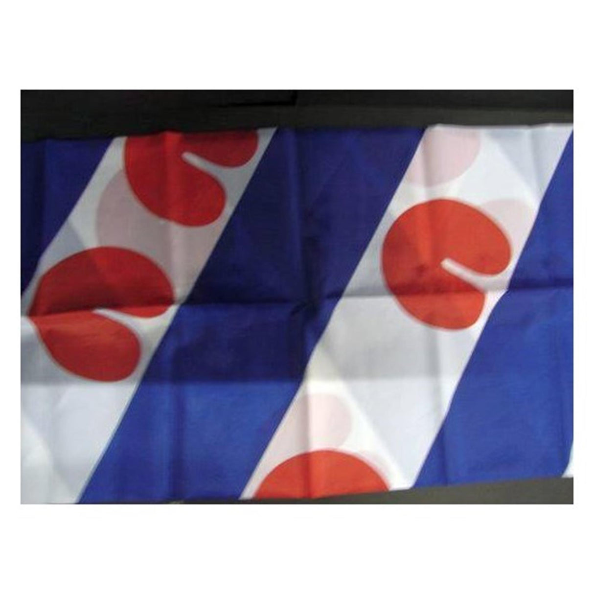 Dokkumer Flaggen Zentralflagge Friesland 40x60cm