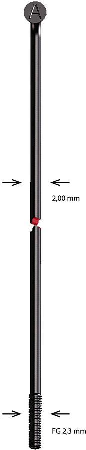 Alpina Speiche Speiche Edelstahl 2x184 mm b