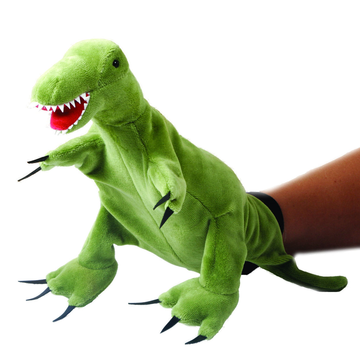 BEEDUC HandPop T-Rex