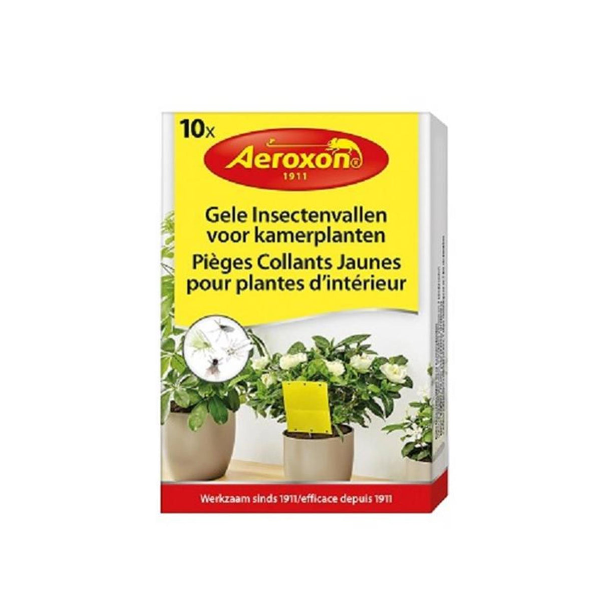 Bsi Aeroxon gelbe Insektenfallen für Zimmerpflanzen, Schachtel mit 10 Stück