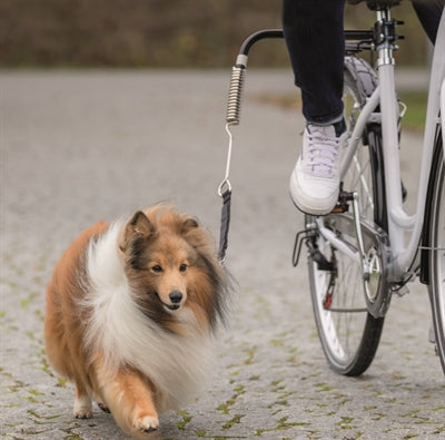 Trixie Biker-Set Fahrradhalterung Springer