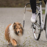 Trixie Biker-Set Fahrradhalterung Springer