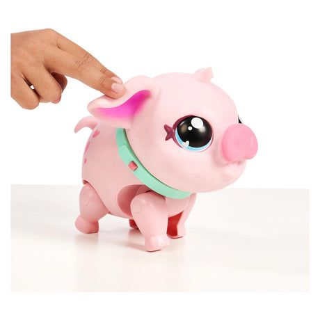 Kleine lebende Haustiere, mein interaktives Schweinchen