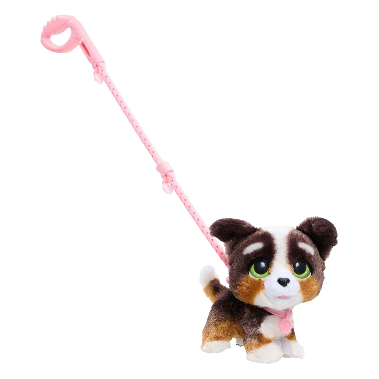 Spectron Furreal läuft viel Bernedoodle