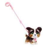 Spectron Furreal läuft viel Bernedoodle