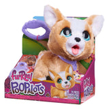 Spectron Furreal kackt viel Corgi