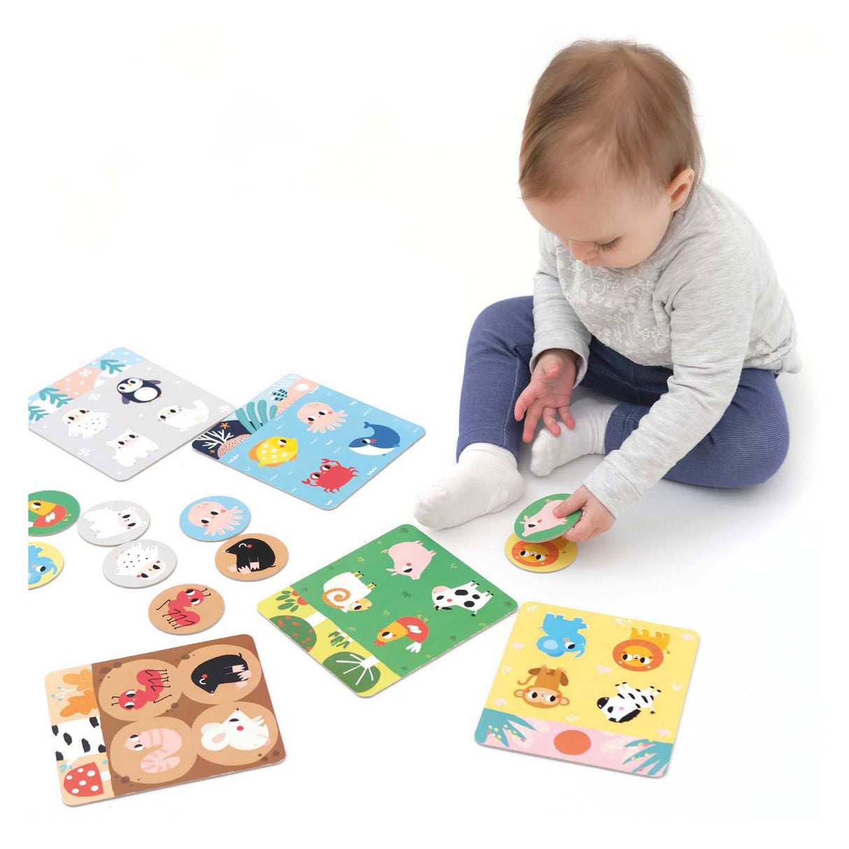 Bananenpanda – lass uns Habitat-Bingo spielen