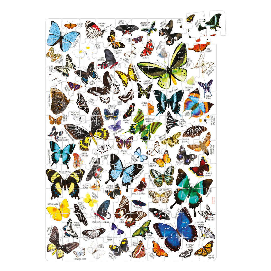 Banana panda - puzzlove vlinders puzzel - 200st.
