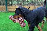 Happy Pet Nuts för knutar Extreme Bone Grey Orange