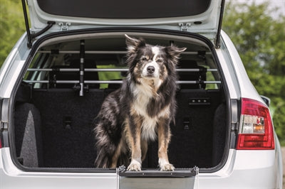 Trixie Hundegitter Auto Silber Schwarz