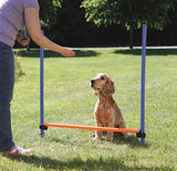 Trixie Dog Activity Agility Horde Blue Orange