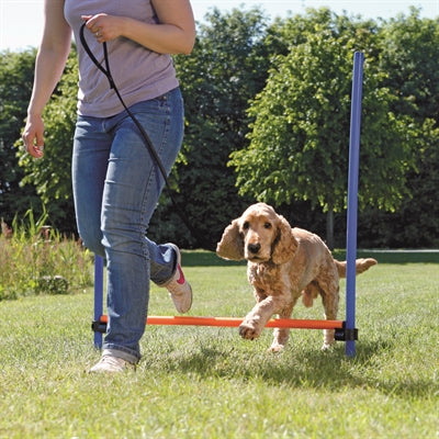 Trixie Hundeaktivitäts-Agility-Hürde blau orange