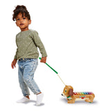 Vtech Timmie Dackel Xylophon mit Licht und Ton