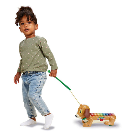 Vtech Timmie Dackel Xylophon mit Licht und Ton