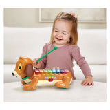 Vtech Timmie Dackel Xylophon mit Licht und Ton