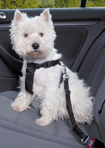 Trixie Hundegeschirr Auto inklusive Gurt schwarz