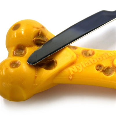 Nylabone dura masticar hueso de queso