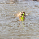 Trixie Hundeaktivität Motten-Aqua Apportierschwimmer Limettengrün