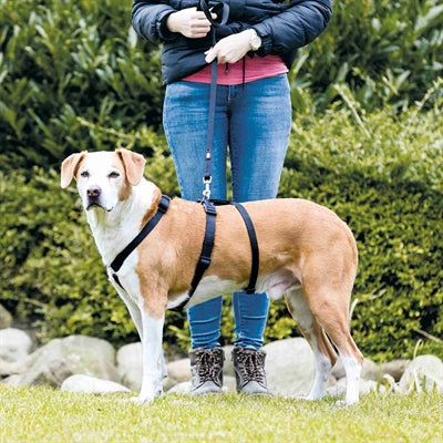 Trixie Hundegeschirr bleibt schwarz