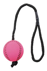 Trixie Sportball am Seil Moosgummi schwimmend sortiert