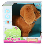 Pluchiez | 2 Stk