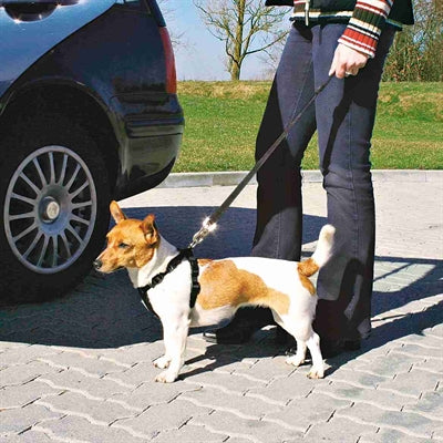 Trixie Hundegeschirr Auto inklusive Gurt schwarz