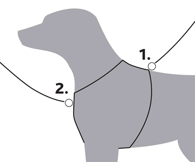 Trixie Dog Holder Premium Draw czarny szarość