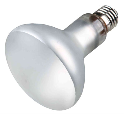 Trixie Reptiland Prosun Mixed D3 UV-B-Lampe selbststartend