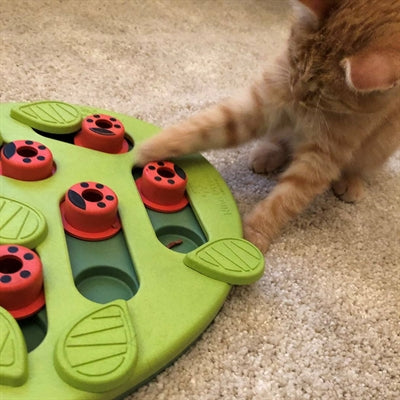 Nina Ottosson Puzzle spielen Buggin Out Green