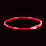 Trixie Leuchthalsband USB-Blitzlicht wiederaufladbar TPU rot