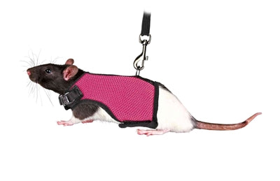 Trixie Softgeschirr mit Leine für Ratten, sortiert
