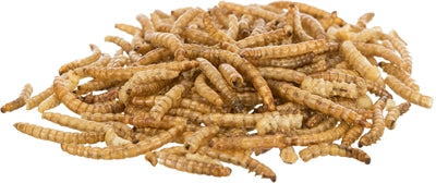 Trixie mealworms dried