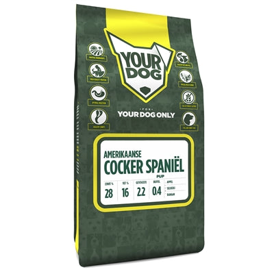 Yourdog American Cocker spani�l valp