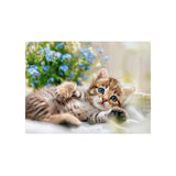 Ravensburger – Katzen in der Küche – Puzzle – 1500 Teile