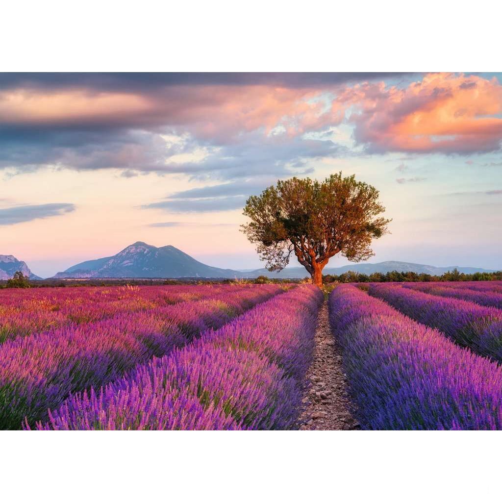 Ravensburger Puzzle Lavender Fields 1000 stycken