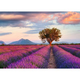 Ravensburger Puzzle Lavender Fields 1000 sztuk