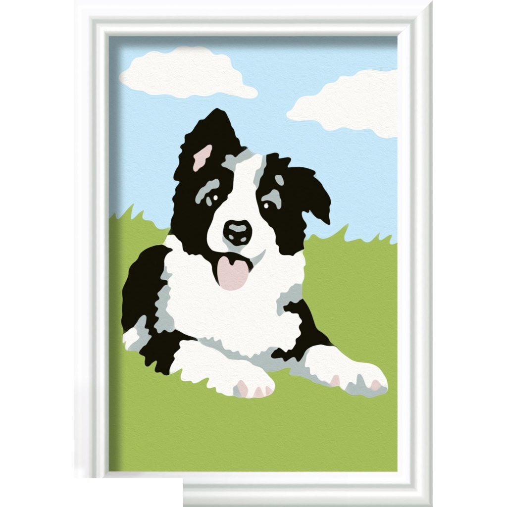 Ravensburger Creart Painting on Number Border Collie