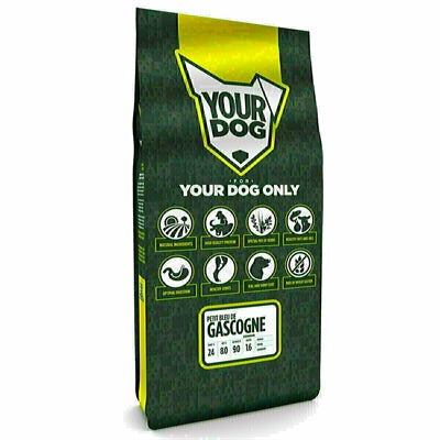 Yourdog Petit Bleu de Gascogne Senior