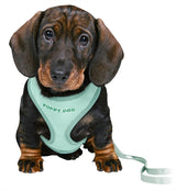 Trixie Junior Puppy Economes morbido con Riem Mintgroen