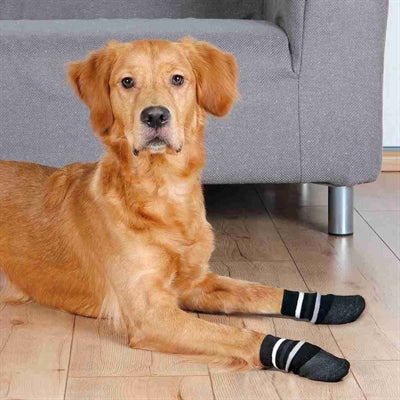 Trixie Dog Socks Anti-Slip z gumową warstwą wokół czarnego