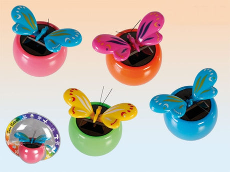 Schmetterling im Topf Solar 8 cm 4 sort